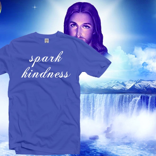 Spark Kindness Tshirt,Grateful Shirt,Be Thankful,Christian tshirt/