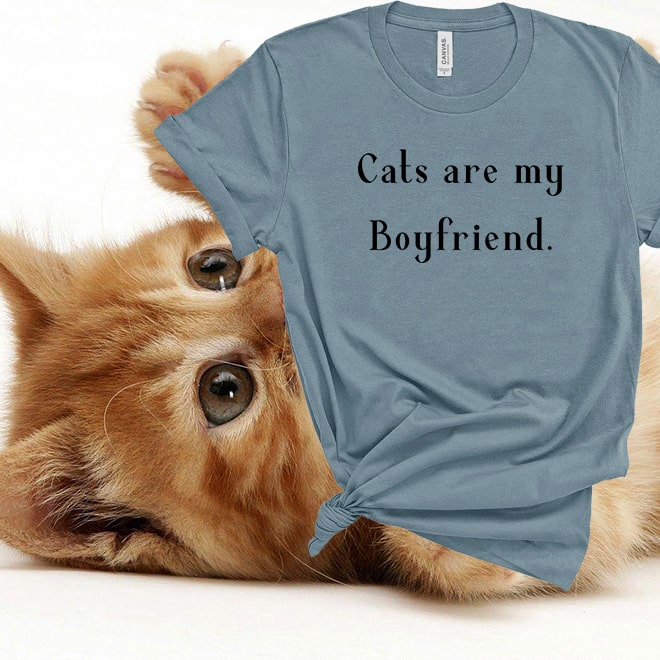 Cats are my boyfriend tee,women mens tshirts,women funny t-shirts/