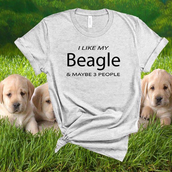 I like my beagle funny tshirts,womens shirts with quotes,graphic tees/