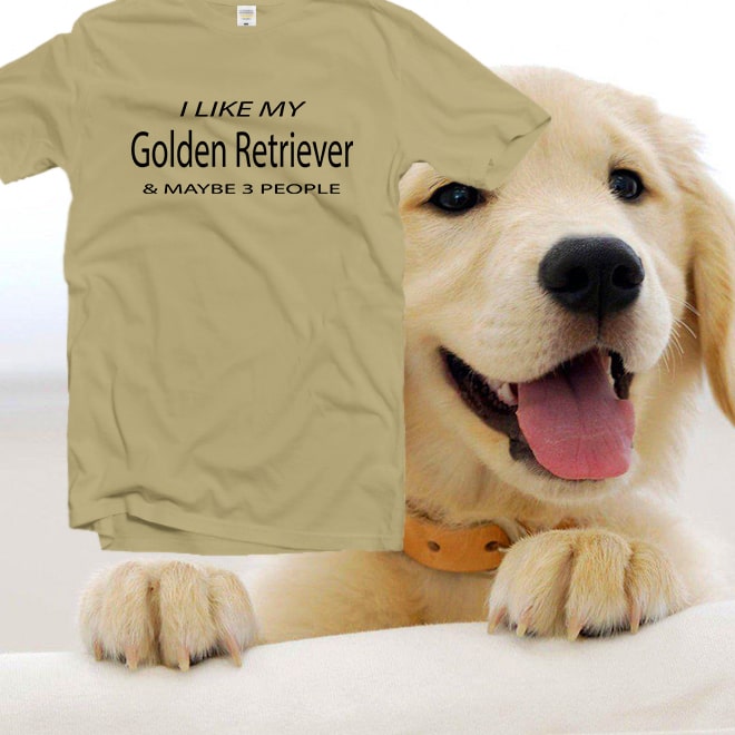 I like my golden retriever funny shirts,women shirt with quotes, graphic tee/
