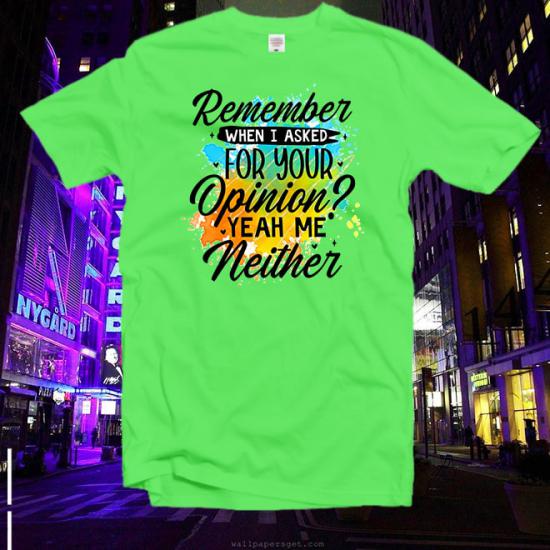 Remember When İ Asked For Your Opinion T-Shirt/