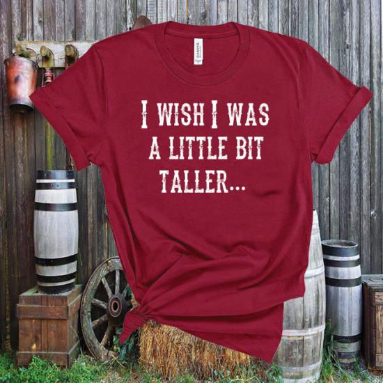 Song lyric shirt,funny shirt, I wish I was a little bit taller Tshirt/