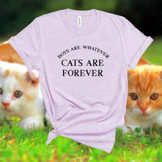 Boys are whatever cats are forever womens tshirt/