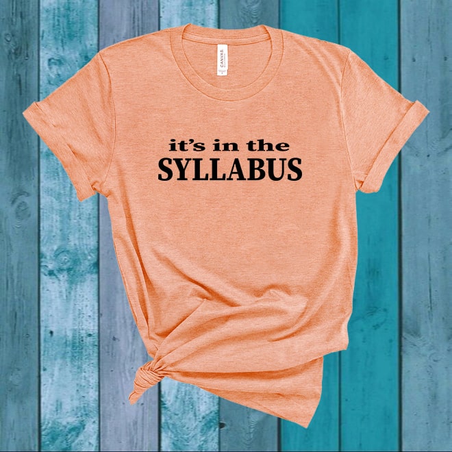 It’s In The Syllabus Tshirt,Teacher Shirt,Gifts For Teachers,Teacher Shirt/